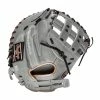 Rawlings Heart Of The Hide 33" Fastpitch Catcher's Mitt PROCM33FP-24G -Bats shop cm24g